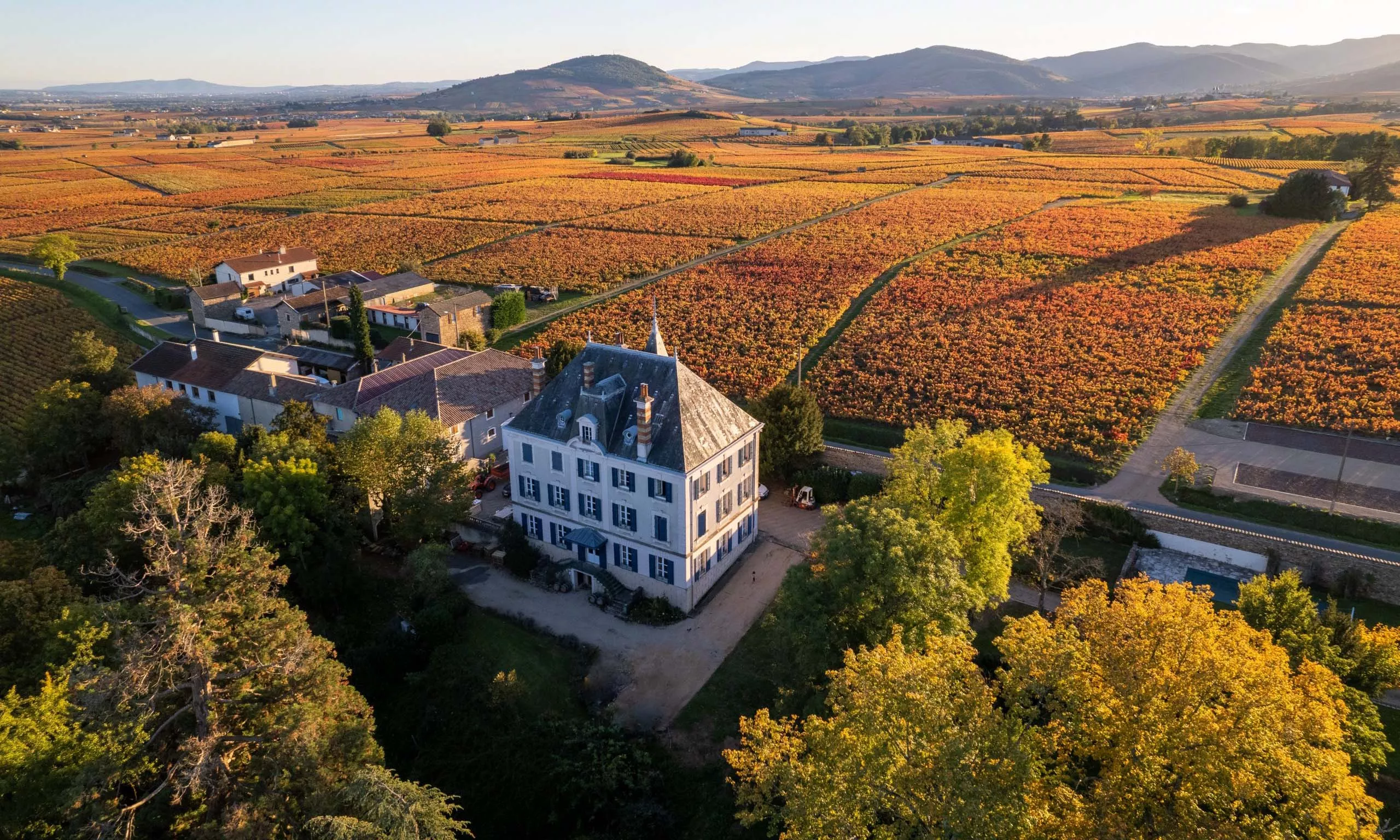 Chateau Grange Cochard, Morgon Chateau Grange Cochard, Morgon