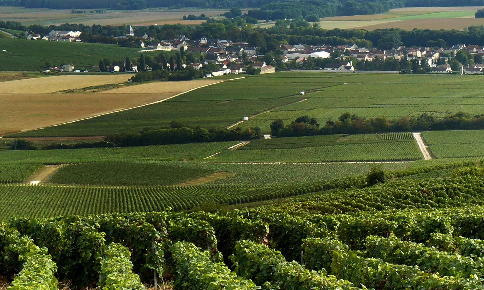 Benard-Pitois, Champagne Benard-Pitois, Champagne