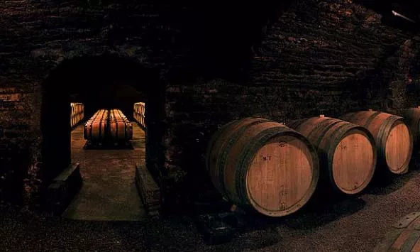 Domaine de Montille & Chateau de Puligny-Montrachet, Bourgogne