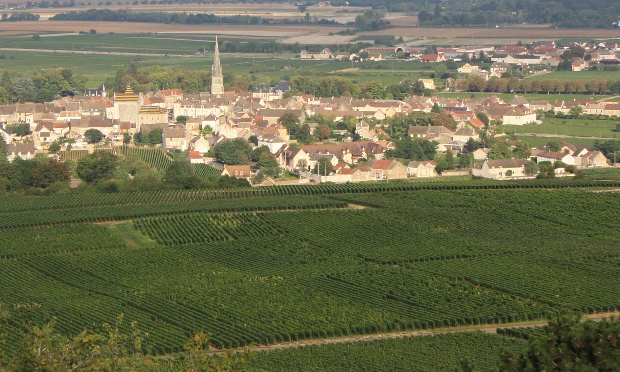Domaine Latour-Giraud, Meursault Domaine Latour-Giraud, Meursault