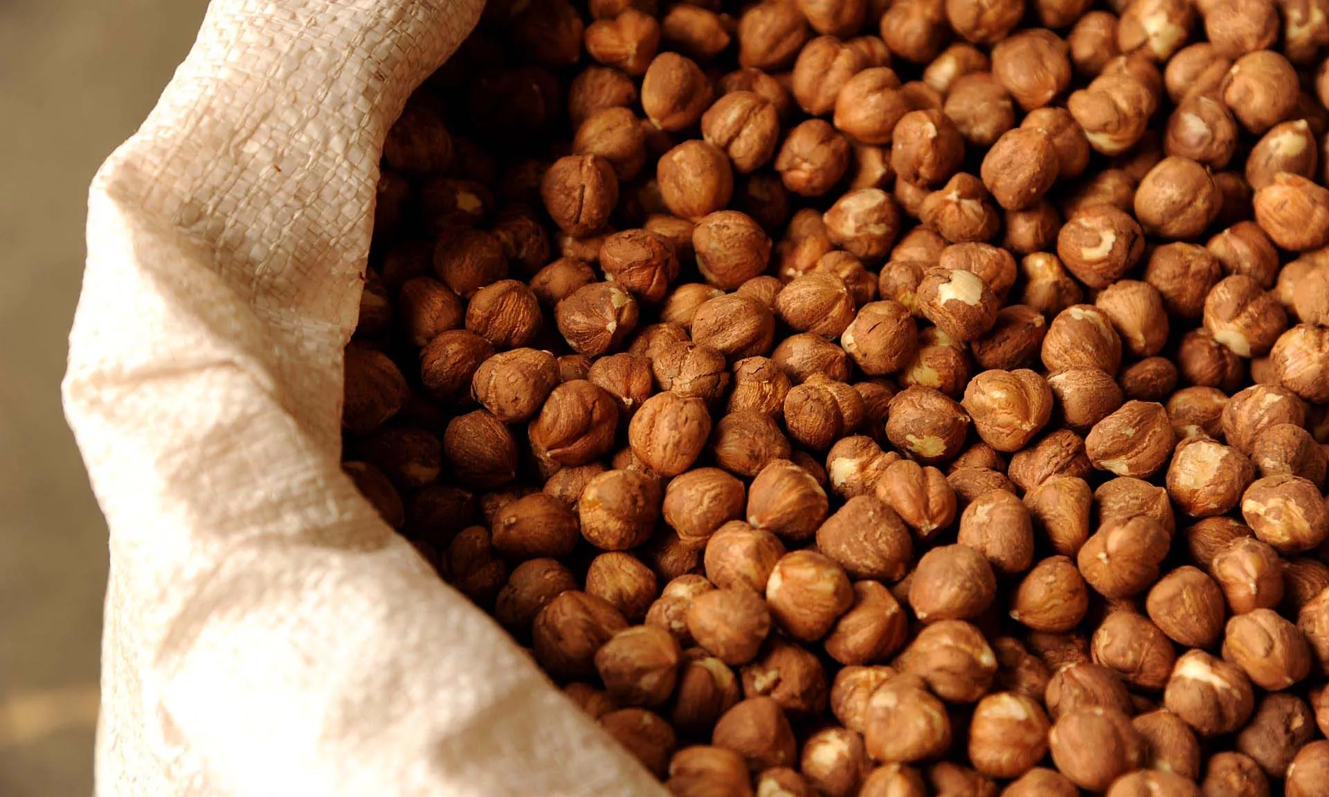 Nocciole d'Elite, Piemonte Nocciole d'Elite, Piemonte
