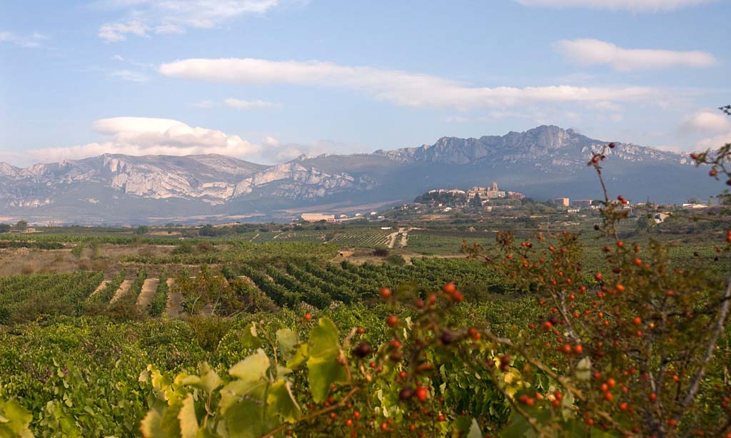 Bodegas Orben, Rioja