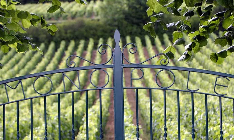 Patrice Rion, Bourgogne Patrice Rion, Bourgogne