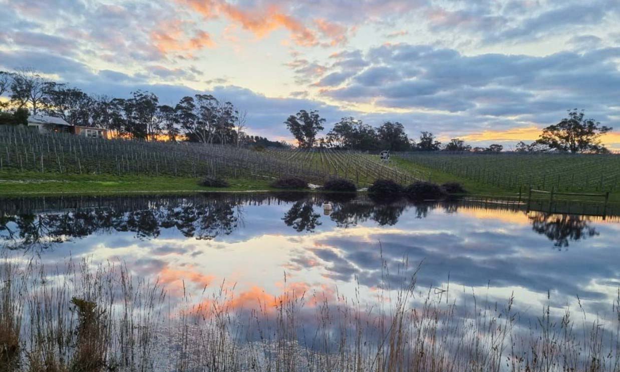 Graillot - Place of Changing Winds, Heathcote