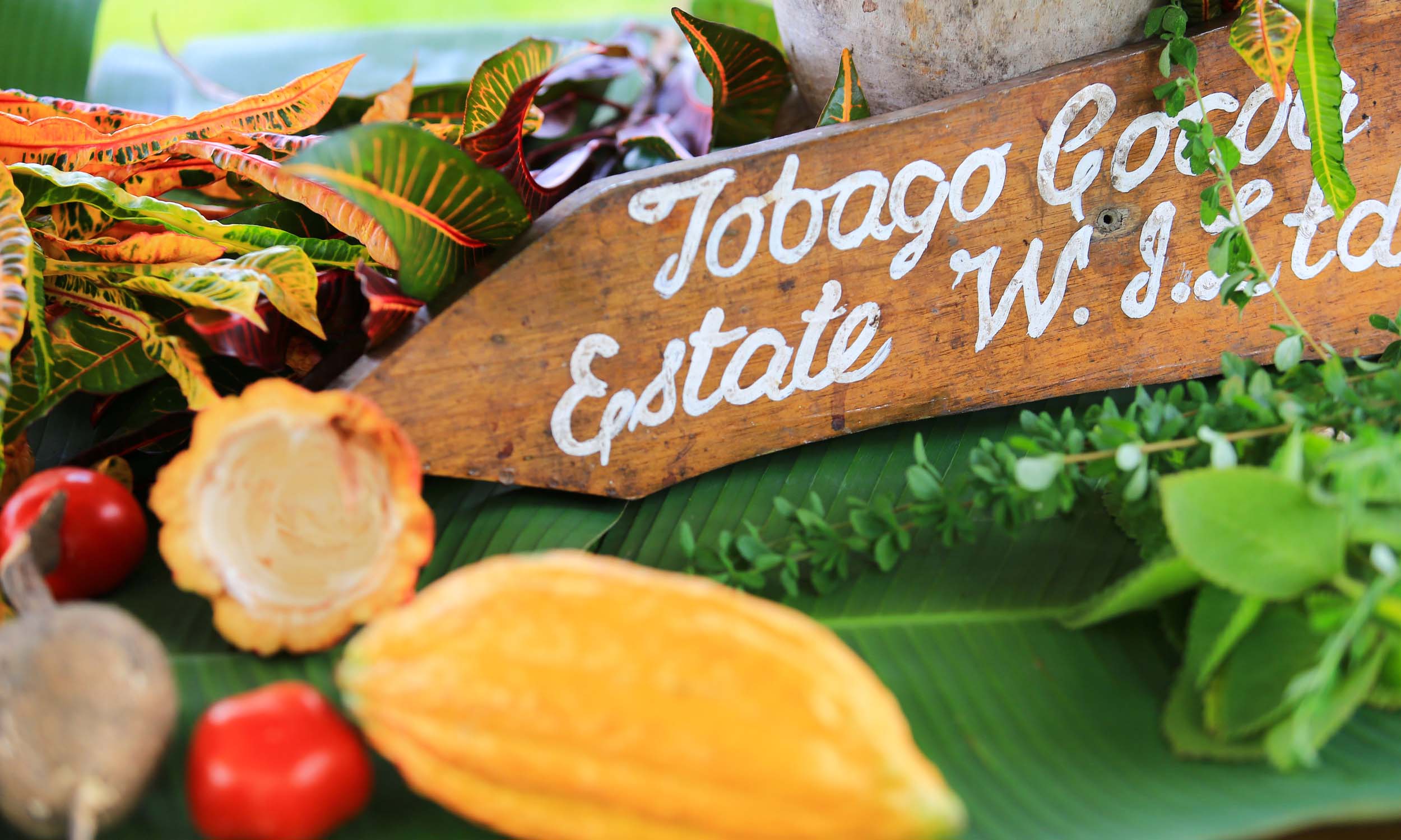 Tobago Cocoa Estate Tobago Cocoa Estate