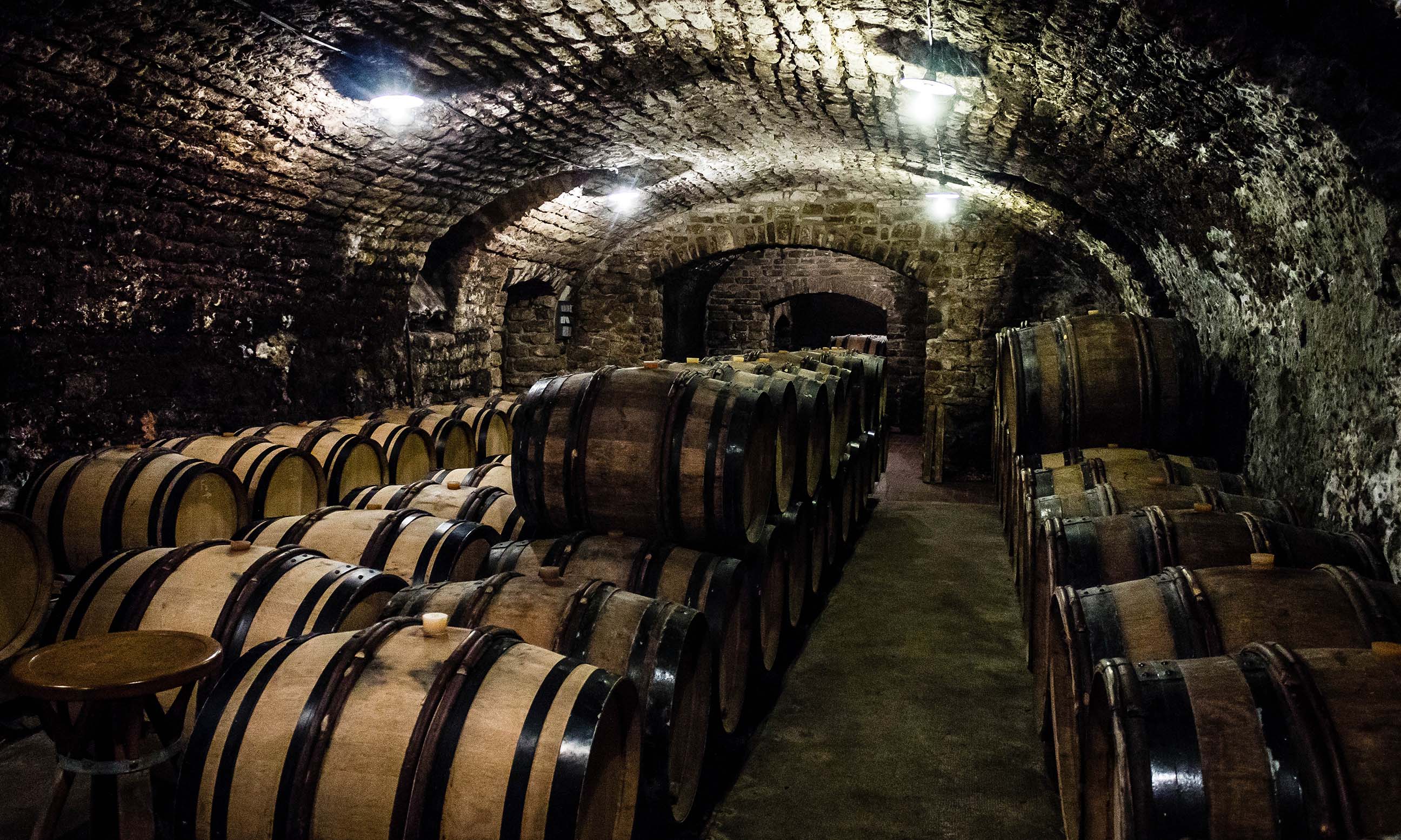 Vincent Dauvissat, Chablis