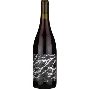 Pinot Noir Abscirrus 2023, Aux Mages