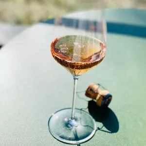 Rosé-Champagne - smagning på terrassen i Klampenborg 12/7 kl. 15-17
