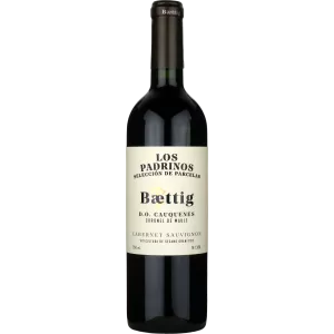 Cabernet Sauvignon Los Padrinos Seleccion de Parcelas 2022, Vinos Baettig