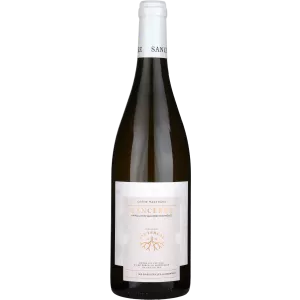 Sancerre la Chene Marchand, David Sautereau-billede Sancerre la Chene Marchand, David Sautereau