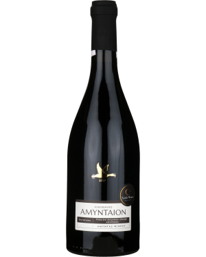 Xinomavro PDO Amyntaion 2021, Amyntas Winery