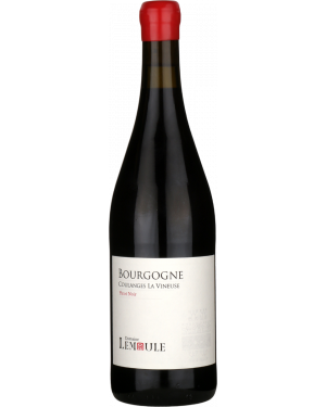 Bourgogne Pinot Noir Coulanges-la-Vineuse, Domaine Lemoule