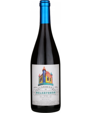 Castillo de Belarfonso, Bodegas Canopy