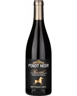 Pinot Noir Steinrassel, Matthias Gaul